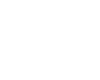 Basel Ali